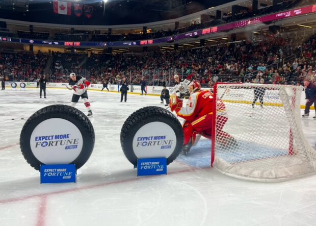 Hockey Goalie