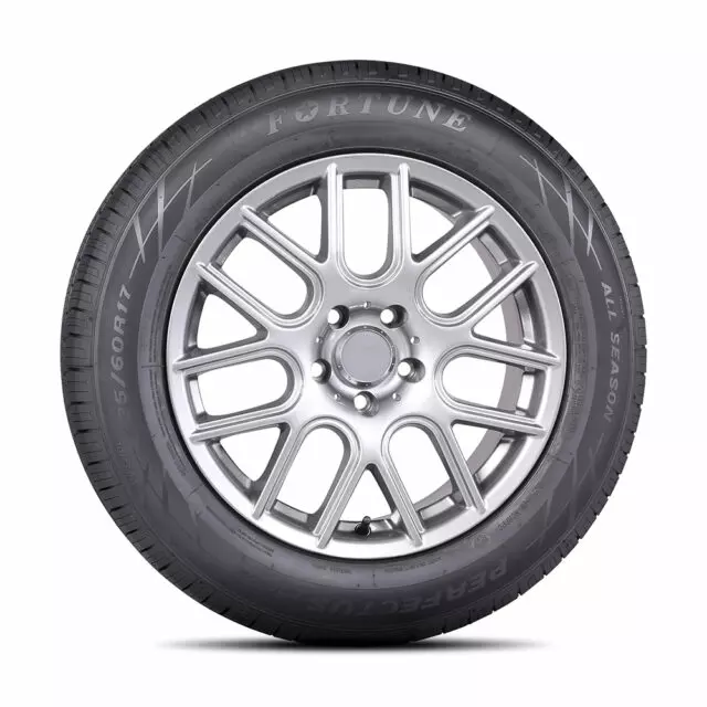 Fortune Perfectus FSR602 All Season 185/55R15 82V Passenger Tire