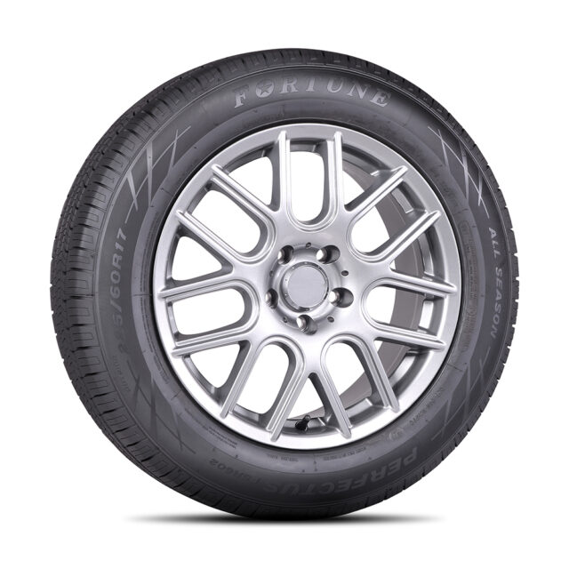 Perfectus FSR602 Tire